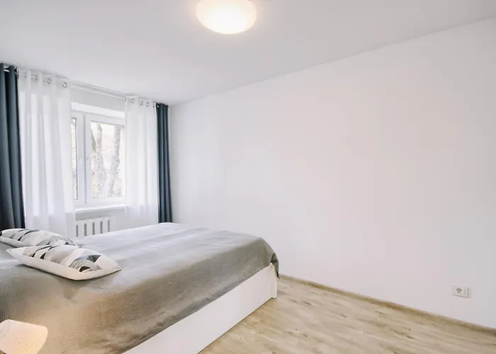 Apartament Dagys Druskieniki